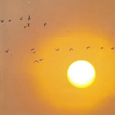 Ballade nocturne by Various Artists - album cover