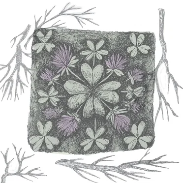 Clover
