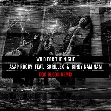 Wild for the Night (Dog Blood remix)