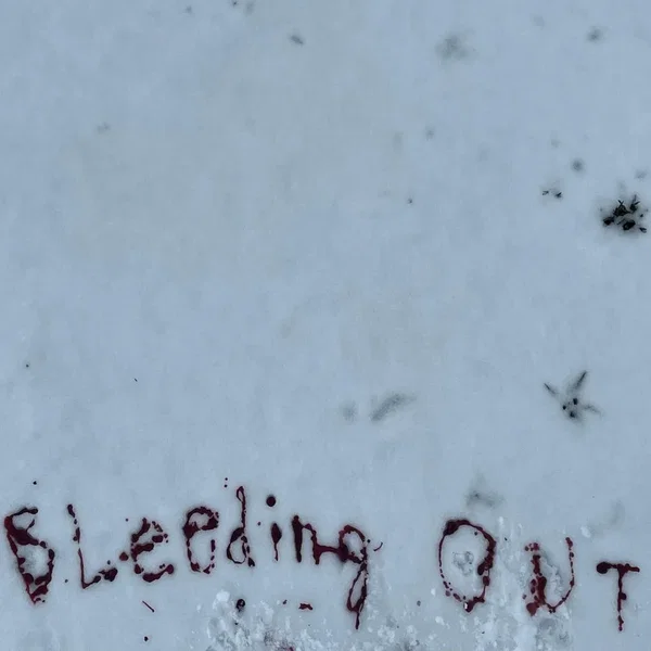 Bleeding Out in Snow