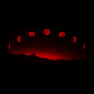 Phases Of Death by Red Museum - album cover