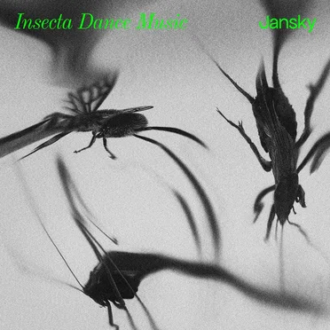 Insecta Dance Music by Jansky - album cover