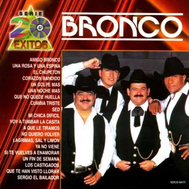 20 éxitos