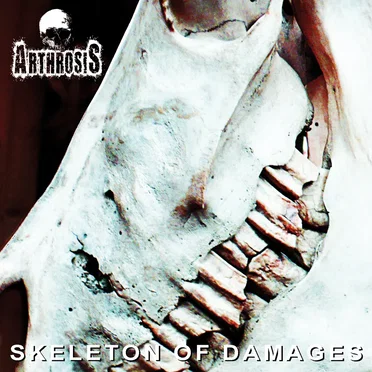 Skeleton of Damages