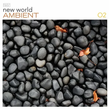 New World Ambient 02 by Various Artists - album cover