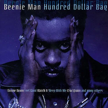 Hundred Dollar Bag