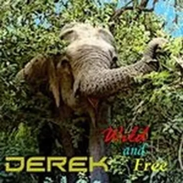 Wild and Free by Derek - album cover