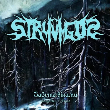 Забуте віками by Stryvigor - album cover
