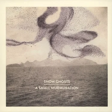 A Small Murmuration by Snow Ghosts - album cover