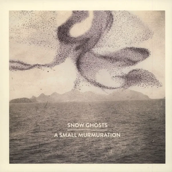 A Small Murmuration