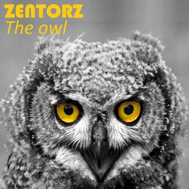 The Owl by Zentorz - album cover