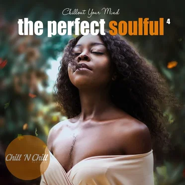 The Perfect Soulful, Vol. 4: Chillout Your Mind by Various Artists - album cover
