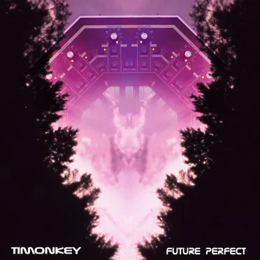 Future Perfect by Timonkey - album cover