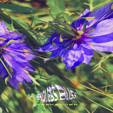 Endless Bliss Weekender by Hysterical Love Project - album cover