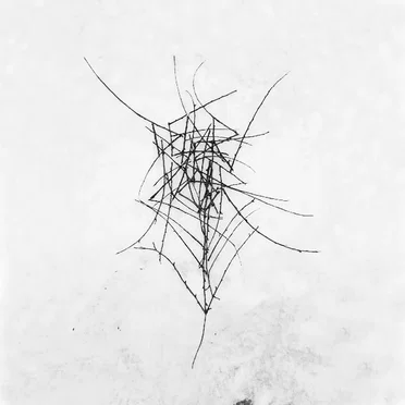Schmerzensgewalt by Dead Raven Choir - album cover