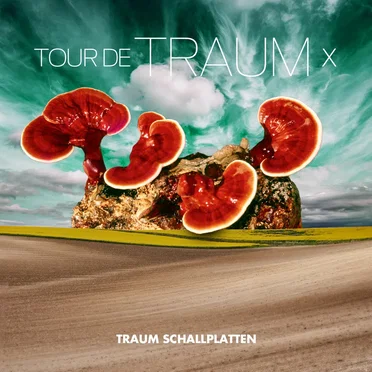 Tour de Traum X by Various Artists - album cover