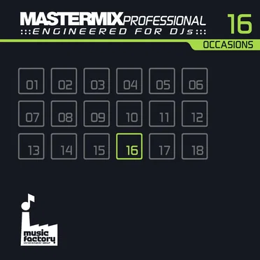 Mastermix Professional Engineered for DJs 16: Occasions by Various Artists - album cover