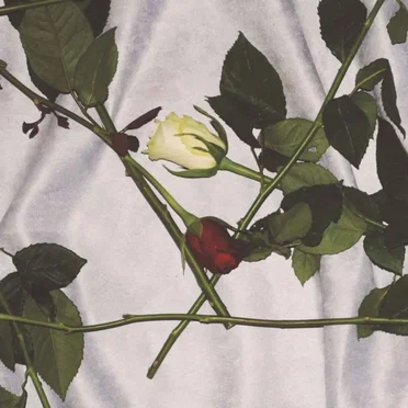 Chain of Flowers by Chain of Flowers - album cover