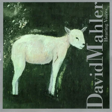 Hearing Voices by David Mahler - album cover