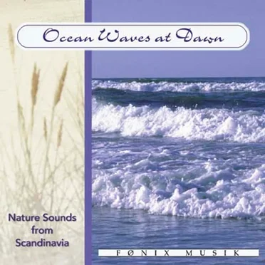 Ocean Waves at Dawn by Poul Rasal Skovgaard - album cover