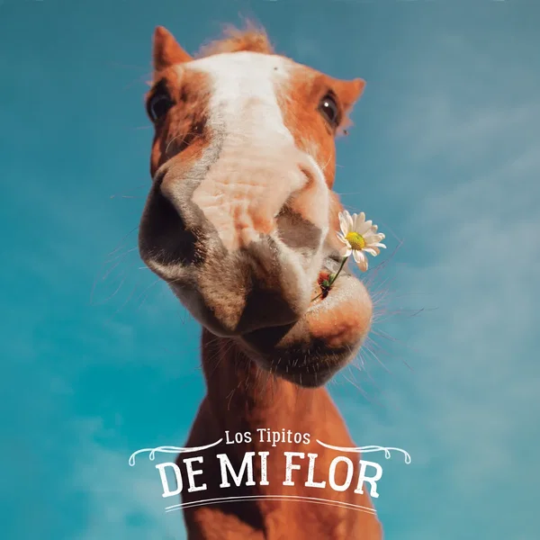 De mi flor