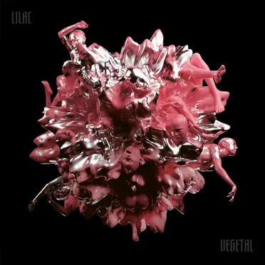 Lilac Vegetal