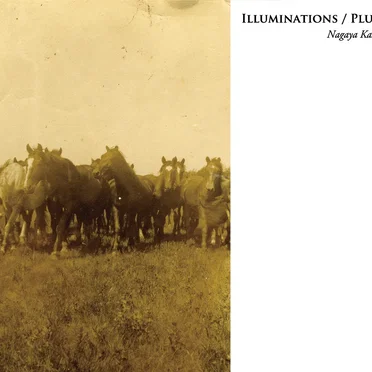 Illuminations / Pluto