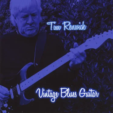 Vintage Blues Guitar