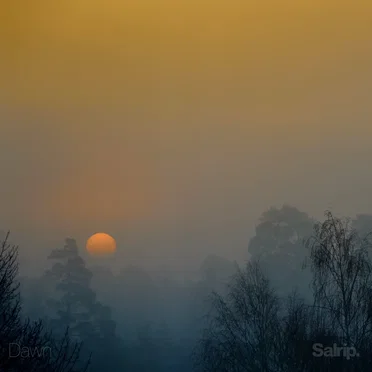 Dawn by Salrip - album cover