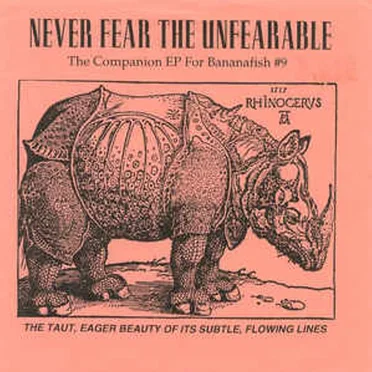 Never Fear The Unfearable by Various Artists - album cover
