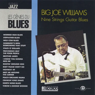 The Blues Collection: Big Joe Williams, Baby Please Don't Go