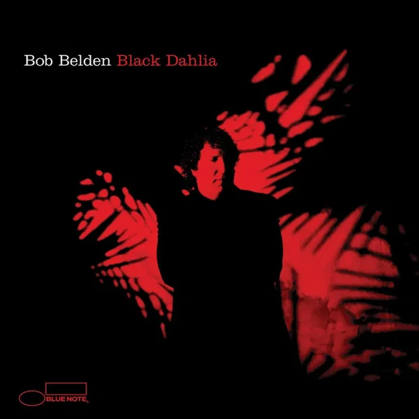 Black Dahlia
