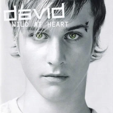Wild at Heart by David Pedersen - album cover