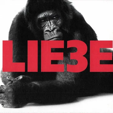 Liebe 3 by Hagen Rether - album cover