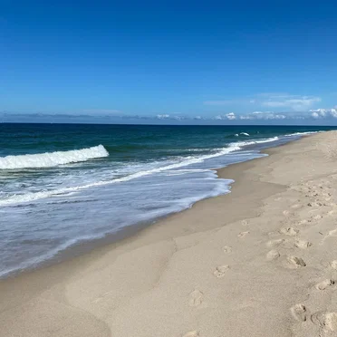 Memories of the Coast