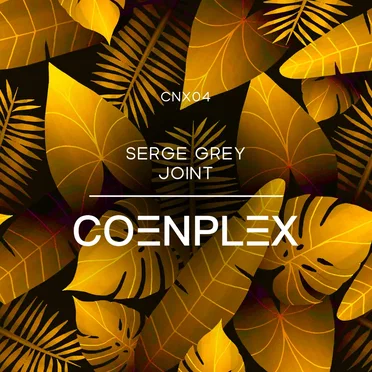 Joint by Serge Grey - album cover