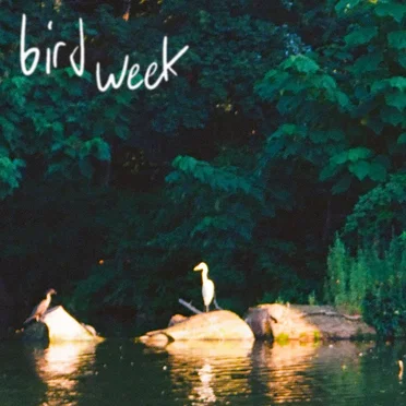 To Live Without by Bird Week - album cover