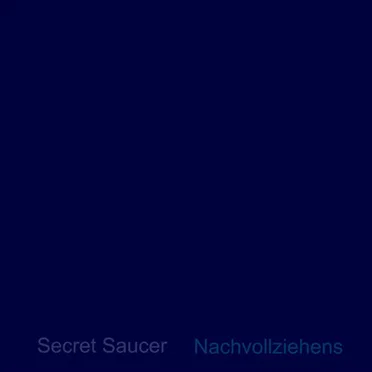 Secret Saucer
