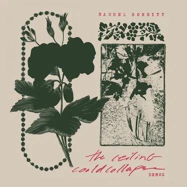 The Ceiling Demos by Rachel Bobbitt - album cover