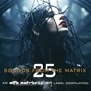 Sounds From The Matrix 025 by Various Artists - album cover