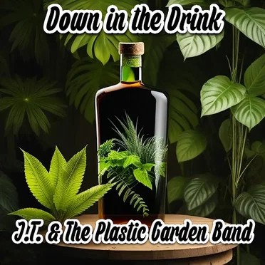 Down in the Drink by J.T. & The Plastic Garden Band - album cover