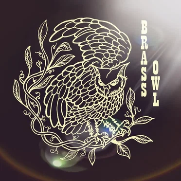 Brass Owl by Brass Owl - album cover
