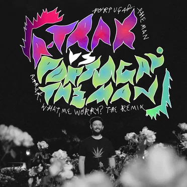 What, Me Worry? (A-Trak remix)