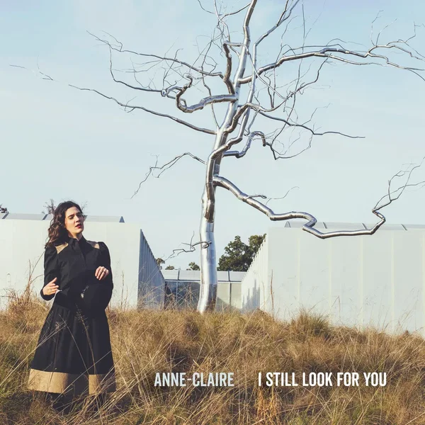 I Still Look for You