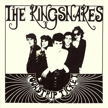 Roundtrip Ticket by The Kingsnakes - album cover