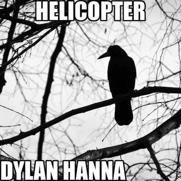 Helicopter