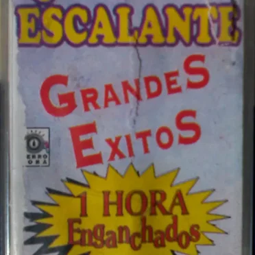 Grandes Éxitos (1 Hora Enganchados)