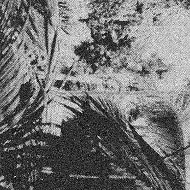 m e l o d i a