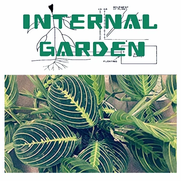 Internal Garden: Research Collection Five