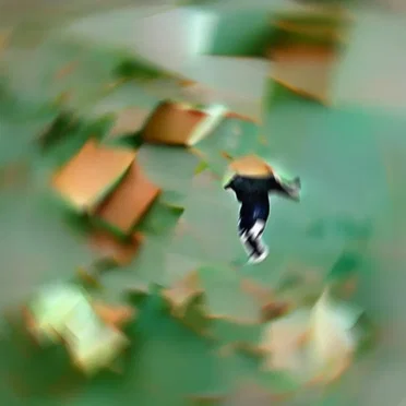 Falling in Gazo